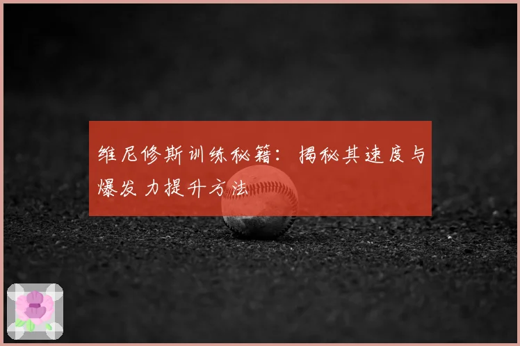 维尼修斯训练秘籍:揭秘其速度与爆发力提升方法